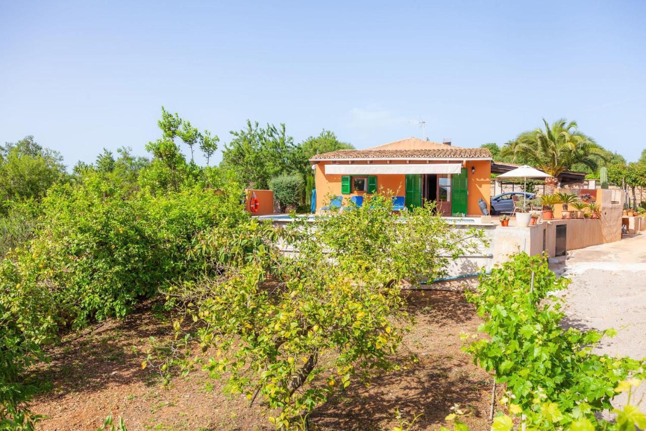 Ses Salines Cottage With Private Pool And Barbecue Kültér fotó